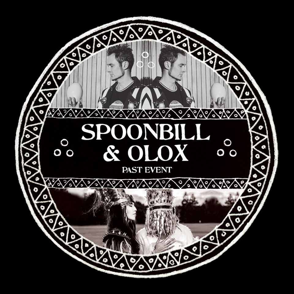 Spoonbill Cover Photo