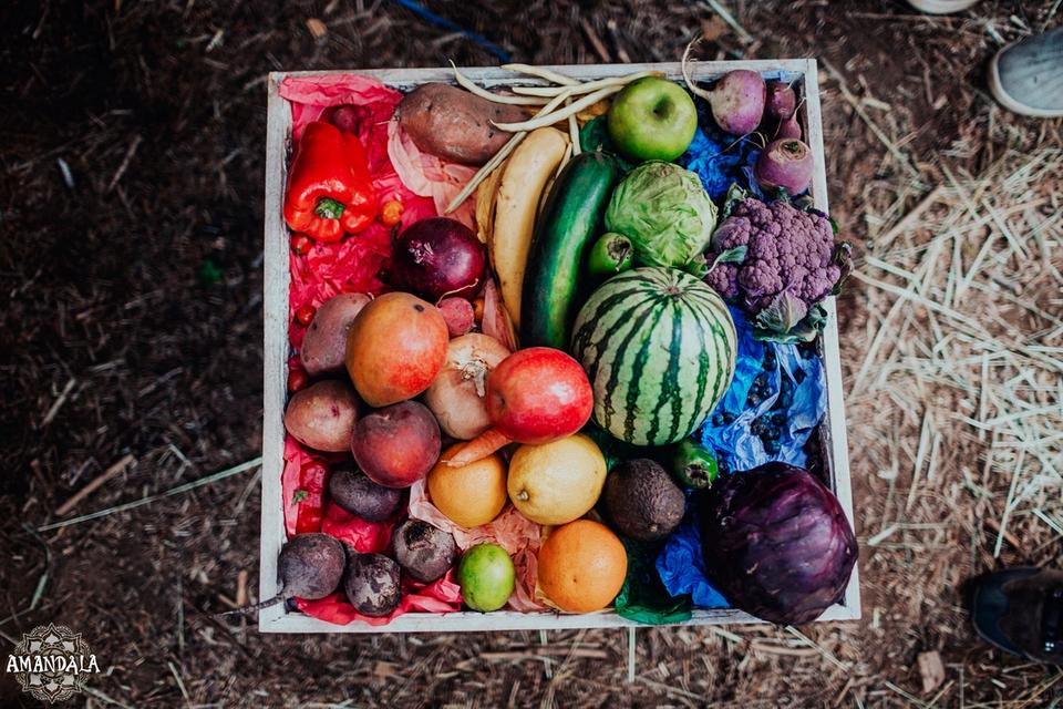 rainbow of garden fruits and vegies