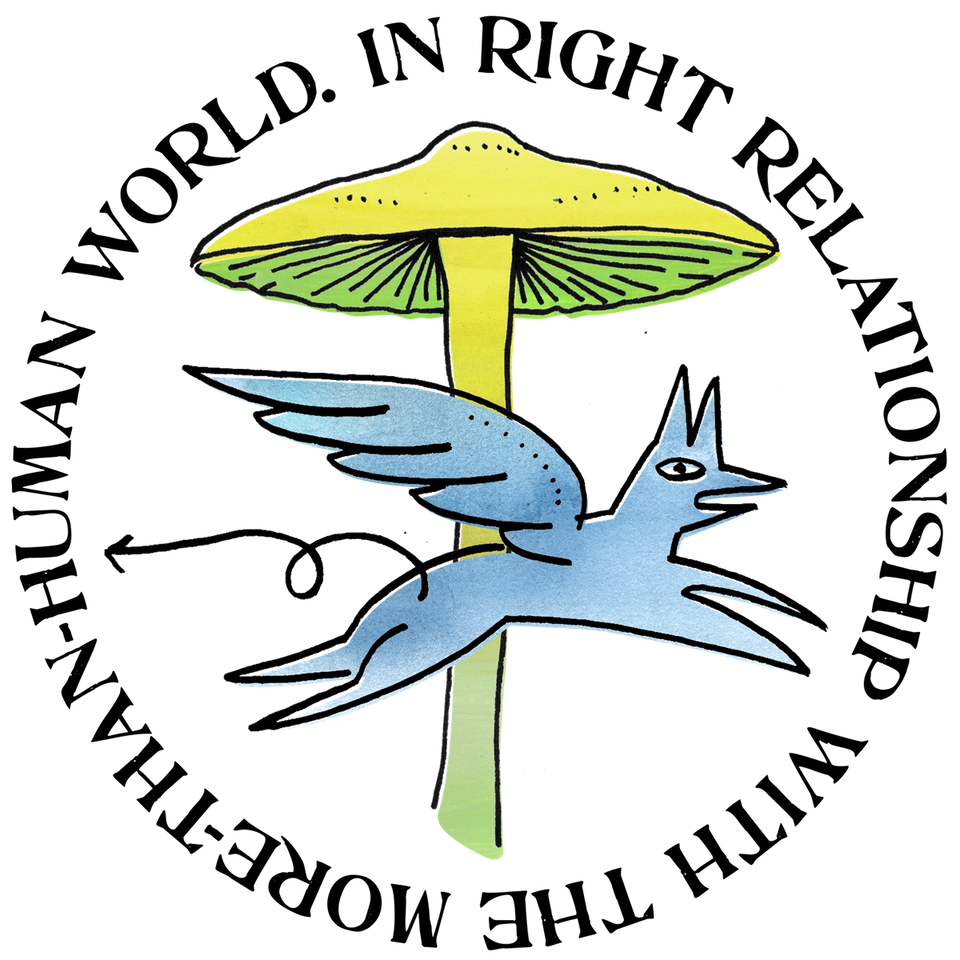 mushroom critter mushroom critter