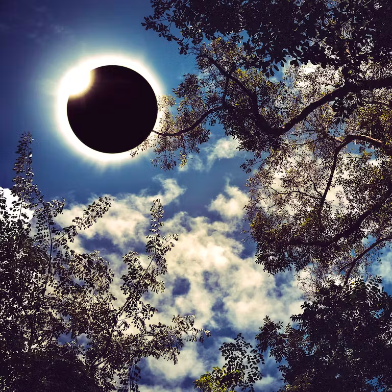 Eclipse with trees