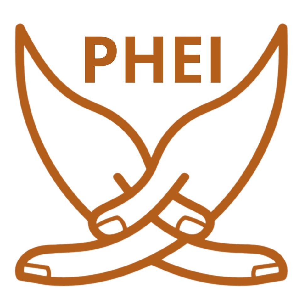 Psychedelic Health Equity Initiative Logo Psychedelic Health Equity Initiative Logo